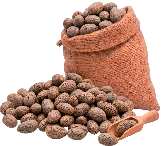 Shea nut
